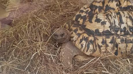 Noah’s Ark Zoo Farm