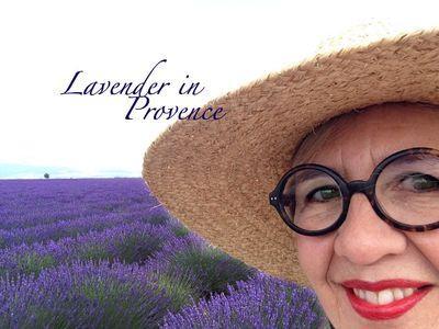 Lavender in provence