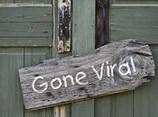 Stop Trying Viral” Viral Content Hinges Community (Podcast)