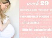 Baby Weeks Pregnant.. Increased Toilet Trips!