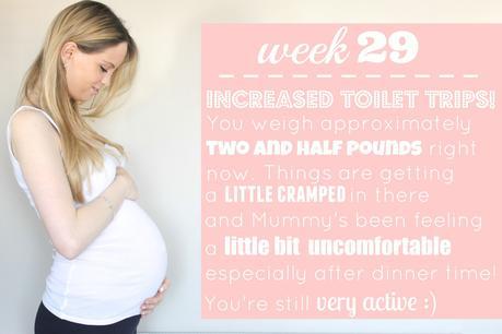 29 weeks pregnant, third trimester, 29 weeks