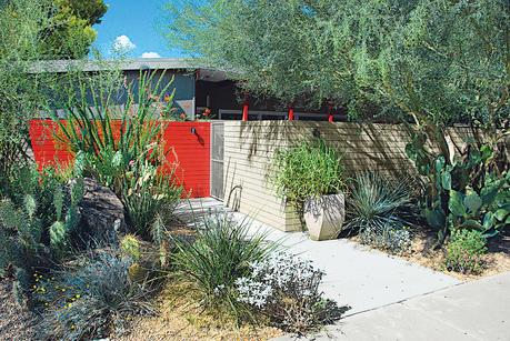 modern landscaping garden southwest walkway