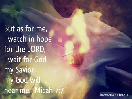 Word for the Week - Micah 7:7