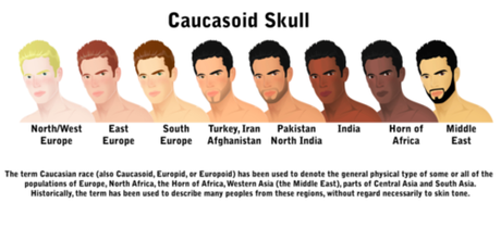 Caucasian skulls.