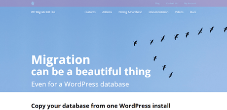 7 Best WordPress Migration Plugins 7 Best WordPress Migration Plugins