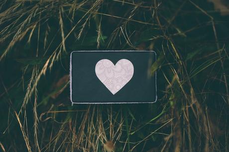 A Clifftop Love Story in the Bay of Islands by Samantha Donaldson Photography