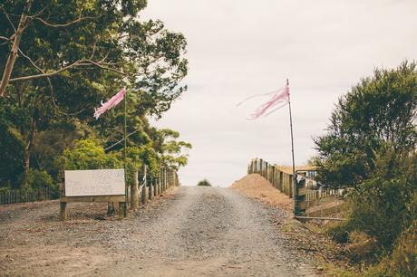 A Clifftop Love Story in the Bay of Islands by Samantha Donaldson Photography