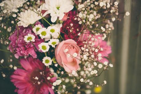 A Clifftop Love Story in the Bay of Islands by Samantha Donaldson Photography