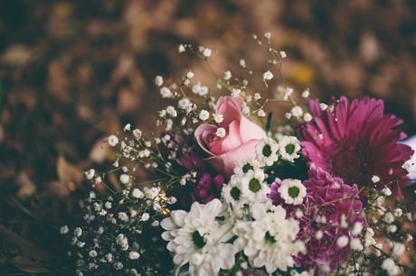 A Clifftop Love Story in the Bay of Islands by Samantha Donaldson Photography