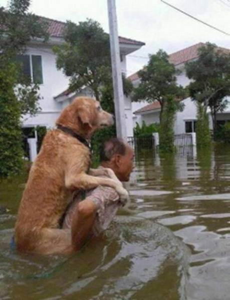 man carries dog in flood