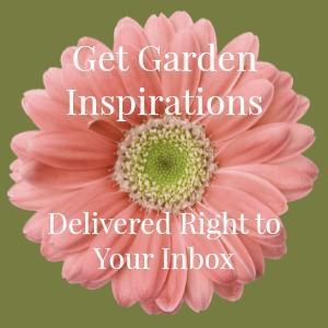 10 Garden Bed Designs