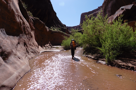Day 20: Stevens Canyon & Coyote Gulch