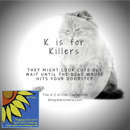 A-Z of Cats: K is for Killers (#AtoZChallenge)