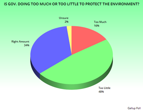 Government Is Not Doing Enough To Protect Environment