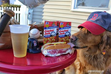 dog eating fenway frank Red Sox opening day