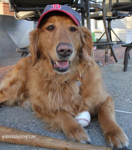 Baseball opening day at Fenway Park for Boston Red Sox