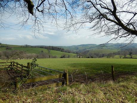 Easter on the Quantocks