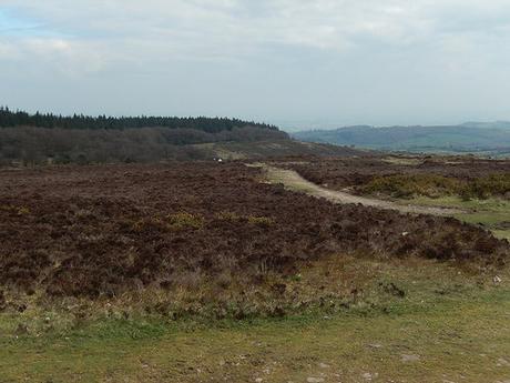 Easter on the Quantocks