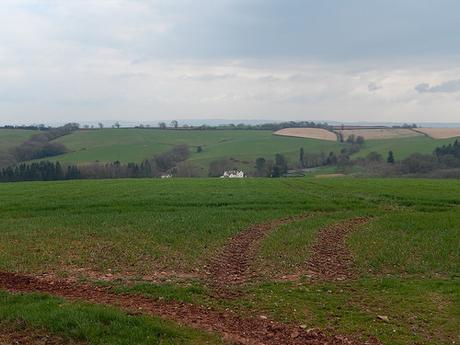 Easter on the Quantocks