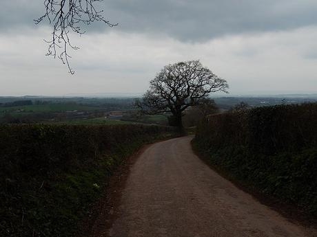 Easter on the Quantocks