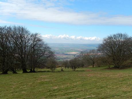 Easter on the Quantocks