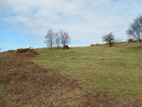 Easter on the Quantocks