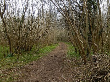 Easter on the Quantocks