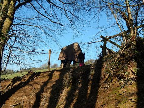 Easter on the Quantocks