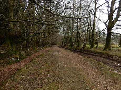 Easter on the Quantocks