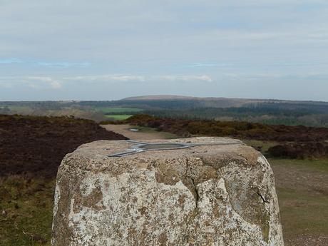 Easter on the Quantocks