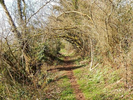 Easter on the Quantocks