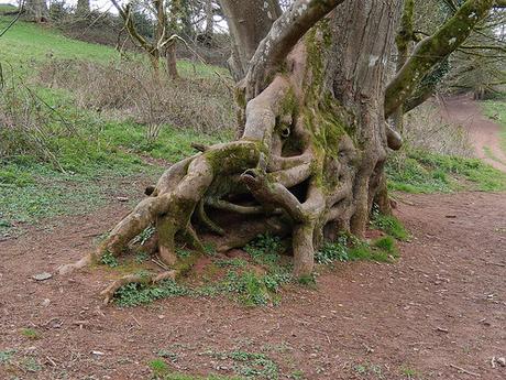 Easter on the Quantocks