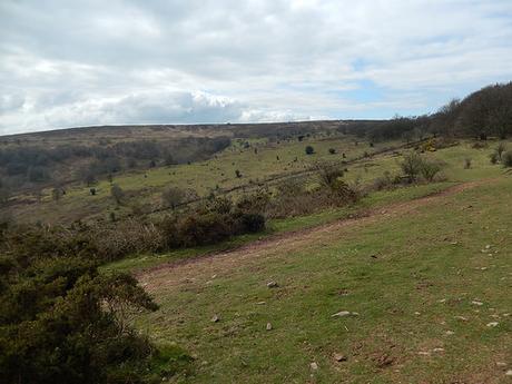 Easter on the Quantocks