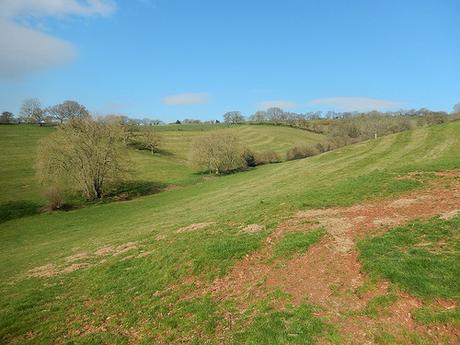 Easter on the Quantocks