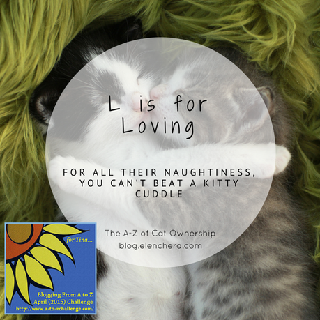 A-Z of Cats: L is for Loving (#AtoZChallenge)