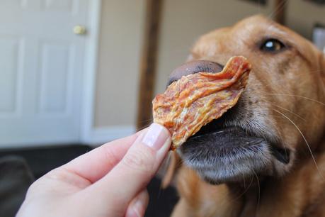 Happy Hips Chicken Jerky dog treats Chewy.com review