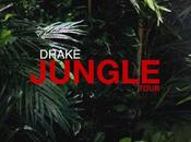 Drake Announces “Jungle Tour”