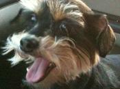 Ways That Keep Babies Flea Free Year Round