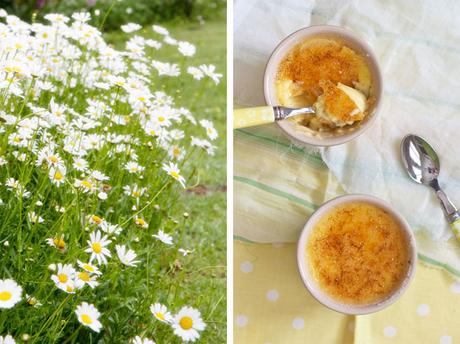 Crème Brûlée a Classic Dessert