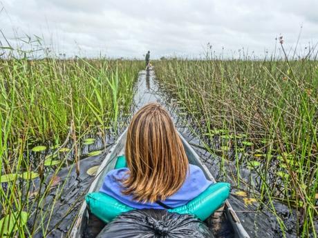 Views from My Mokoro in the Okavango Delta, Botswana