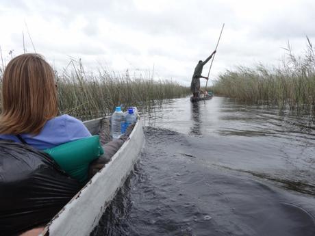 Views from My Mokoro in the Okavango Delta, Botswana