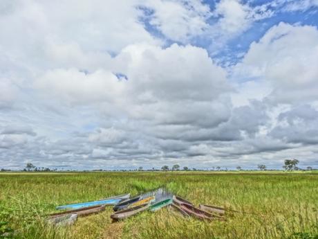 Views from My Mokoro in the Okavango Delta, Botswana