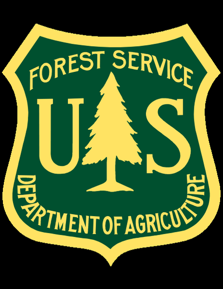 Forestry and U. S. Forest Service