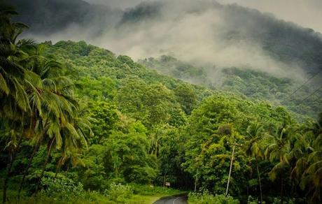 Nelliyampathy Hills