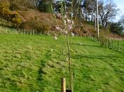 Getting Your Head Bitten