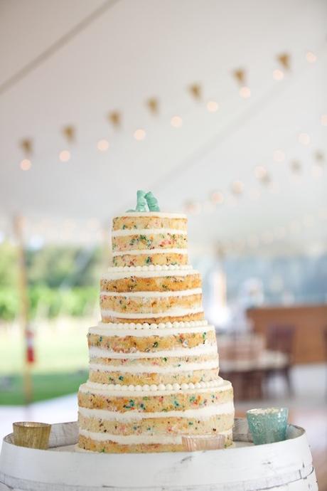 Designer Spotlight: Lauren Wells tent-wedding-naked-funfetti-cake-lens-cap-productions