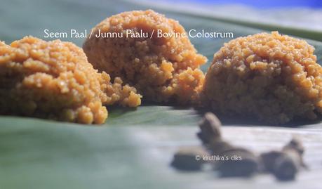 Seem Paal / Junnu Paalu / Cow Colostrum Sweet Recipe