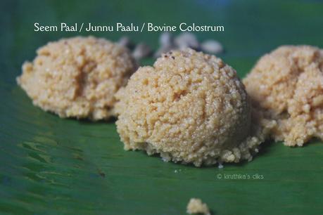 Seem Paal / Junnu Paalu / Cow Colostrum Sweet Recipe