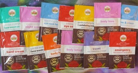 LOVE SYSTEM LOVE SYSTEM