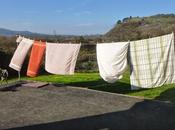 Twice Daily Doggy (and Cat) Walk